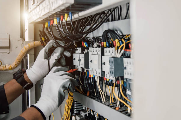 Best Electric Panel Repair  in Webster, TX
